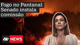 Pantanal: Senado instala Comissão para fiscalizar ações contra queimadas
