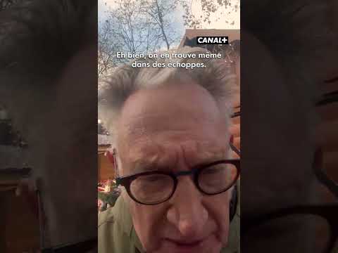 Ils s'implantent même dans les marchés de Noël !!! #Humour #Groland #Shorts