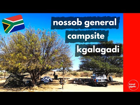 Campsite Review: Nossob General Camp, Kgalagadi Transfrontier Park (Camping South Africa)