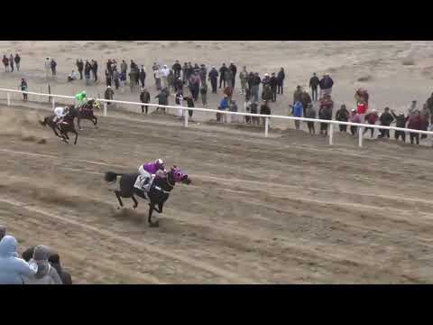 NEGRITO Club Hípico Añelo, Domingo 21 de Septiembre de 2025