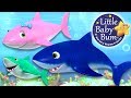 Baby Shark Song Learn With Little Baby Bum Nursery Rhymes For Babies Songs For Kids