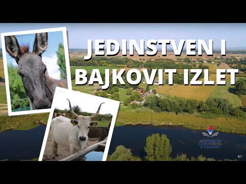 Komad prirodnog RAJA koje morate POSETITI | Šta sve možete videti i raditi u ZASAVICI | KULTURISTA