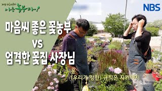 [꽃 농부와 여왕벌] 불량 주부와 내조의 여왕 사이