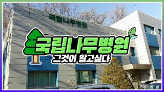 [인터뷰로 만나는 산림청] #국립나무병원? 뭐하는 곳일까?