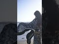 Surbhi Jyoti In Black Saree Looking So Hot Viral Trending