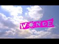 Sony Wonder Logo 1995 Widescreen Recreation