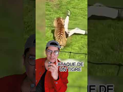 🚨ÚLTIMA HORA | TIGRE ATACA A HOMBRE
