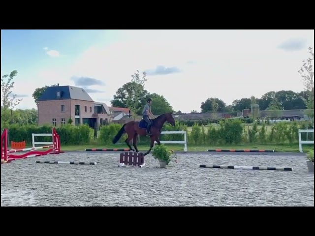 Under the saddle