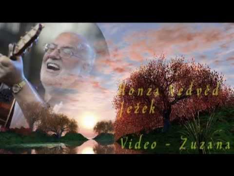 Honza Nedvěd  -  Ježek