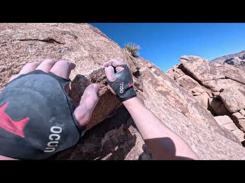 Yasmine Bleeth & Dos Chi Chis Joshua Tree Multipitch