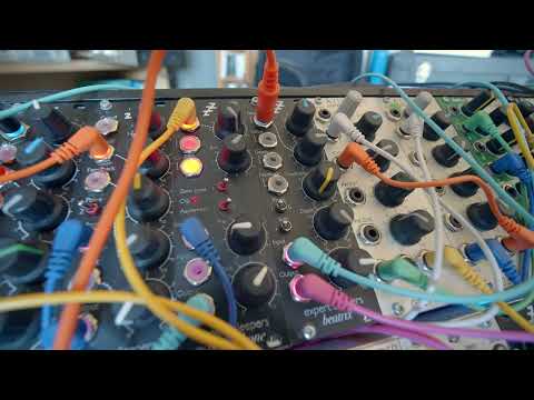 Expert Sleepers Beatrix Phaser Eurorack Synth Module 2021 - Present - Black image 7
