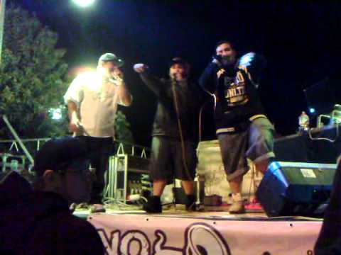 STAMM STREET (THE WALL) live