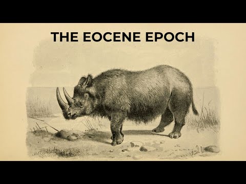 The Eocene Era