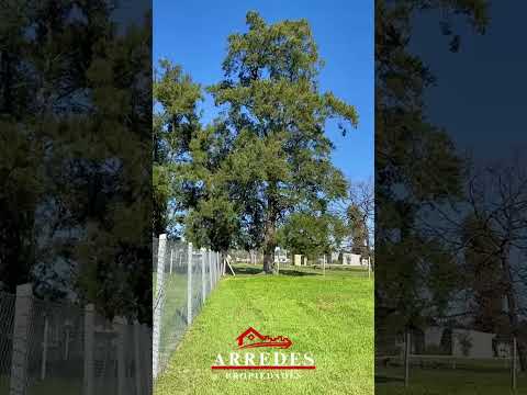 Terreno en Venta I con movimiento de suelo