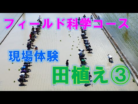 【フィールド科学コース】現場体験（田植え③）※ドローン空撮