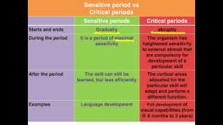 Sensitive vs Critical periods of learning - VCE Psychology