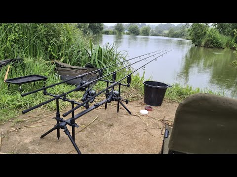 Carp Fishing for Beginners  |  Orchard Farm Fisheries