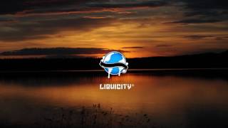 Camo & Krooked - Dissolve Me (feat. Klei)