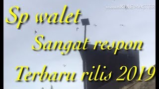 Download lagu Sp Walet terbaru sangat respon (edisi galau liat ini) mp3 Download lagu Sp Walet terbaru sangat respon (edisi galau liat ini) mp3