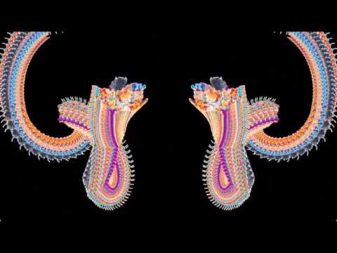 BRZZVLL - I BELONG TO THE LIGHT (ft. Amir Sulaiman)