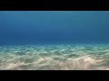 8 Hours - Relaxing Underwater Ocean Sounds | Great Escapes