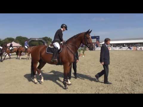 Dekorování – Styl šampionát: Finále ČSP 2016 v Olomouci objektivem EquiTV