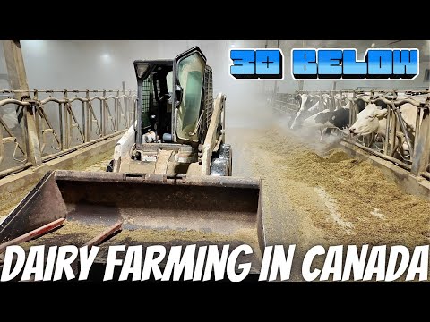 The First Day Of A Brutal Cold Snap...