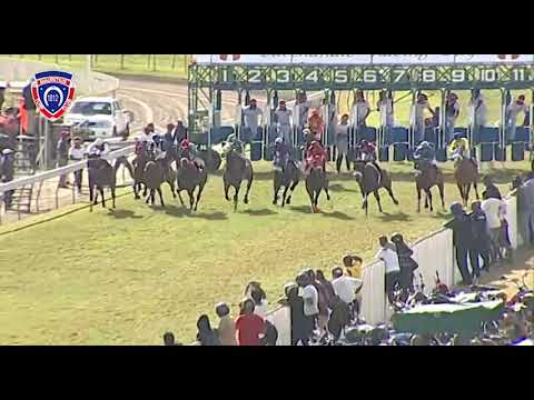 RM26 R6 - Seventh Plain