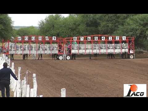 DESTACADO VOY HIPODROMO PANGARE CRUZ DEL EJE 24 04 2022