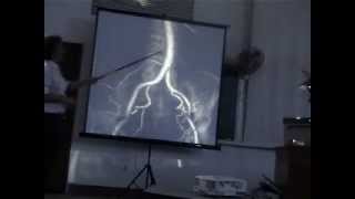 Surgical Radiology - CT Abdomen 1