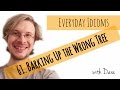 Learn English - Everyday Idioms #61. Barking Up the Wrong Tree