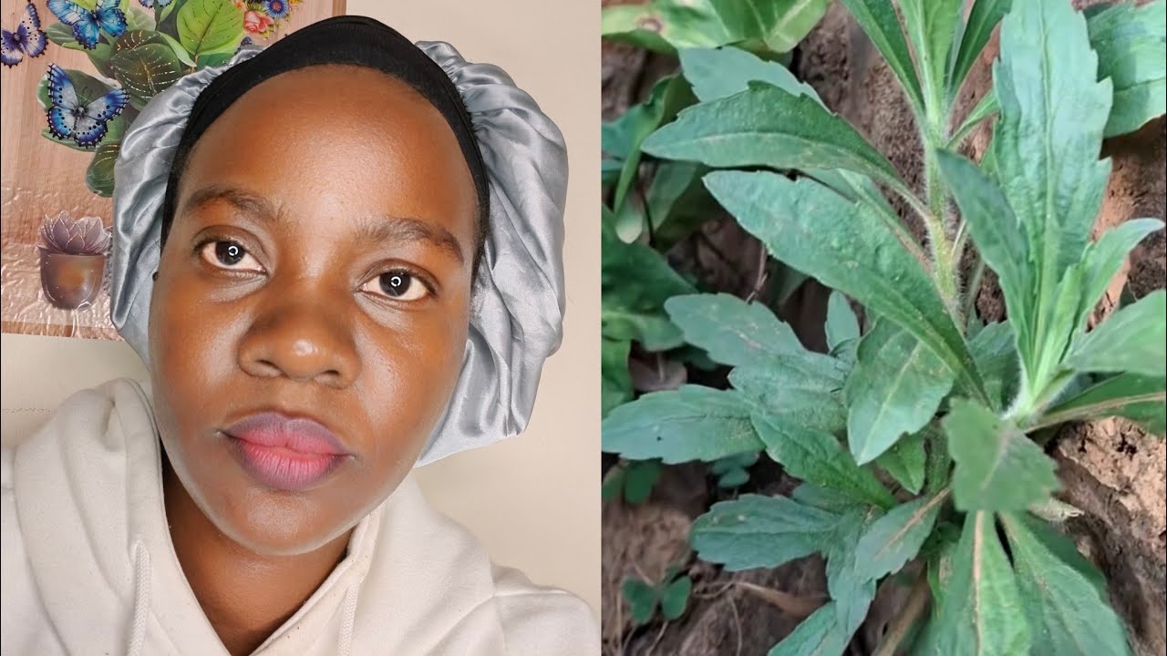 Nywe glass emu ozina emana nga embolo tegwa mpaka kumatiza mukazi