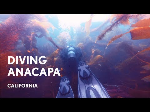 Diving Anacapa Island in California. GoPro + Sony A7rii