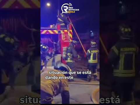 Incendio en carnicería de #chile Algarrobo