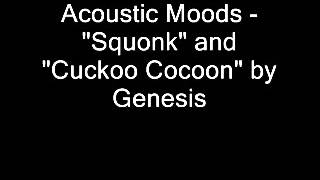&quot;Sqounk&quot; and &quot;Cuckoo Cocoon&quot;: Acoustic Moods covers Genesis