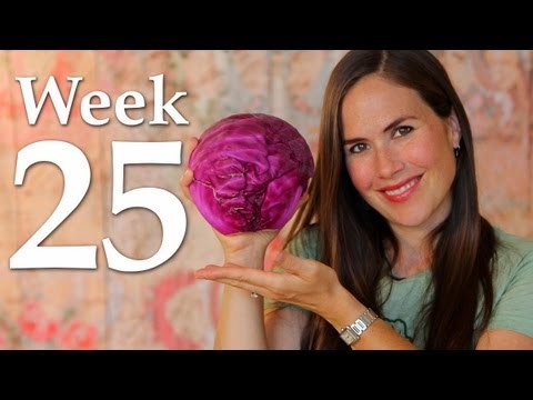 My Pregnancy @ 25 Weeks + Belly Shot