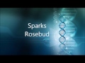 Sparks - Rosebud - Remastered Razormaid Promotional Remix