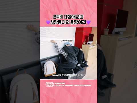 본투비 다정애교퀸 샤랑둥이의 등장이라..