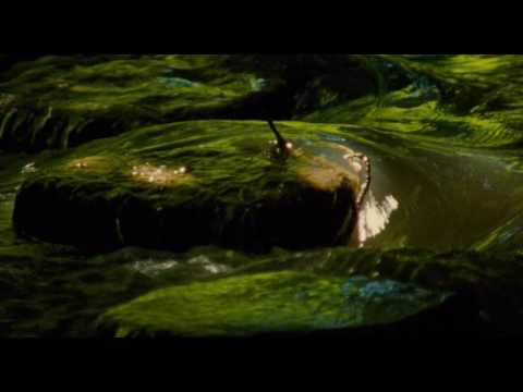 Berberian Sound Studio — Madness Scene