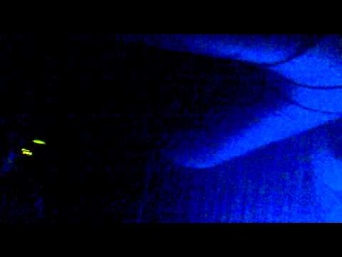 temazo de diego gonzalez en el bunker!