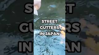 Japan’s gutters are cleaner than your pool. 🇯🇵