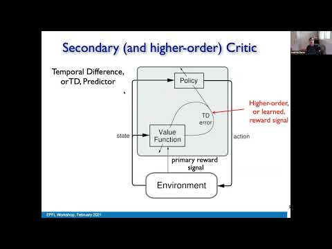 Andrew Barto - Surprise, Curiosity, and Reward: from Neuroscience to AI - EPFL Virtual Symposium