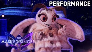 Poodle Moth sings “Just The Way You Are” by Billy Joel | THE MASKED SINGER | SEASON 11