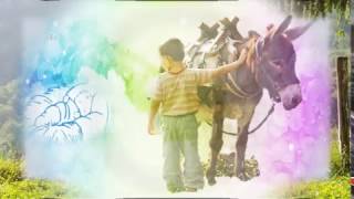 Mi burrito sabanero. cumbia. partitura para acordeón.