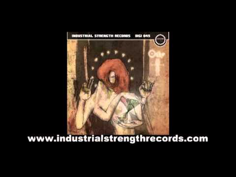 GRR - OGRE - ISR DIGI 045