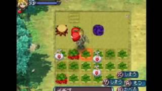 Picture of a game: Rune Factory 3