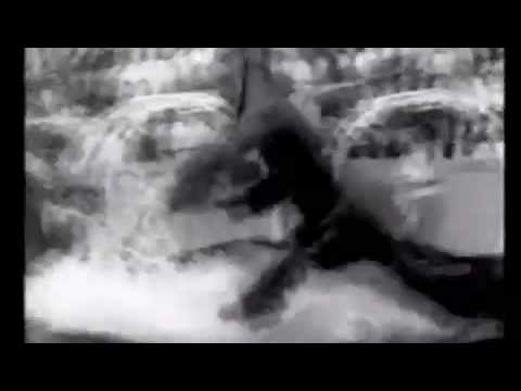 German Motorcycle Cops