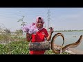 Best Fishing Eel Under Grass By Hands Searching Catching A Lot Of Eel Under Grass