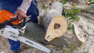 STIHL MS 311