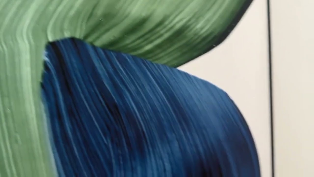 Property Showcase 02